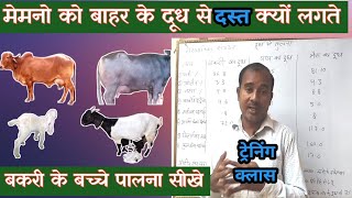 Vimalumrao Training Classes | Bakri ke Bacchon Kaun Sa dhudhDe|Bakri Ka Dudh Jaldi Kyu Pach Jata h |