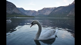 HALLSTATT - Austria's fairytale village - May 2023