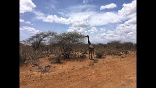 Abreise aus Tsavo West