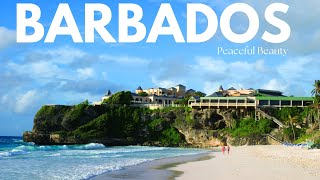 Discovering Barbados | Caribbean Paradise Unveiled