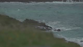 24th August - Scenic Slo Mo Waves Close Up Grass Bordering - C200