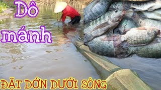 HQC VLog | Đặt dớn dưới sông miền Tây dính toàn cá ngon