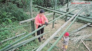 Single mother - built a new bamboo house to live with her daughter - a single mother