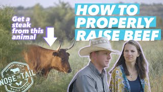 How to produce the healthiest meat for your family and the land | Nose to Tail