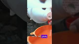 لماذا يحفر الناس ثقوباً في أسطح منازلهم #shortvideo #اكسبلور