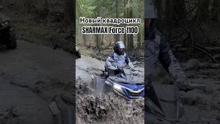 Как думаете, хороший квадрик? Нам понравился! #квадроцикл #atv #offroad