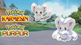 Picochilla + Chillabell Fundort  | Pokemon Karmesin und Purpur