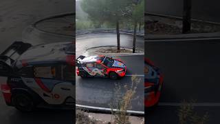 Thierry Neuville World Rally Champion 2024 🇧🇪🥇