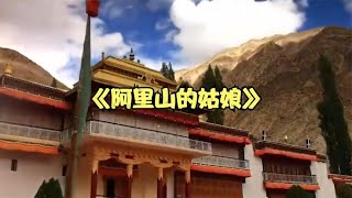 电子琴经典老歌纯音乐加长版《阿里山的姑娘》车载必备 值得收藏