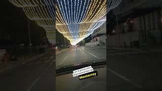 Los pinos de Navidad de Monterrey