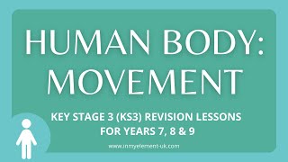 How we move, role of muscles/tendons, calculate force on bones  - Biology Revision (Years 7, 8 & 9)