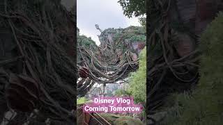 Disney Vlog… Coming Tomorrow