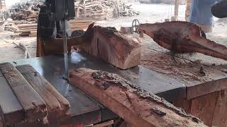 Insane country wood Blocks Sizing//Ingenious skills of wood cutting industries in India #sawmill