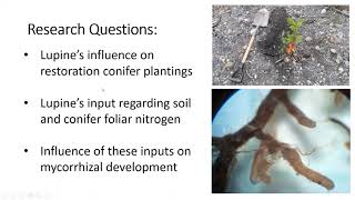 ONP Perspectives: Forest Restoration on Exposed Sediments Along the Elwha River