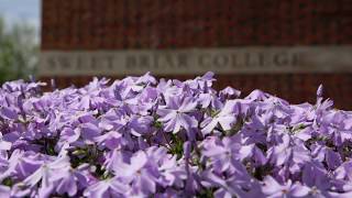 Spring Beauty at Sweet Briar College