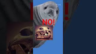 shocking animals facts #shorts #viral #animals #weird #neet #natgeo #arctic