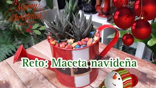 RETO #MACETANAVIDEÑA ⛄🌲🎅Y CONTANDO DE MI HERMOSO PROYECTO #jardín #hawortias #plantas #navidad