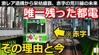 【なぜ?】東京都心に残った路面電車 2日間限定の遺構 中途半端な終点の謎 赤字路線の未来とは｜都電荒川線【Takagi Railway】