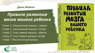 Джон Медина - Правила развития мозга вашего ребенка. Часть 2