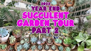 YEAR END SUCCULENT GARDEN TOUR - PART 2 | By Intri's TV