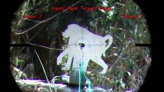 Field Target Shooting