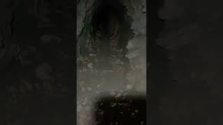 GIRL MEETS BOY (3/23/24) #shortvideo #caving #bigfoot #scary #entertainment