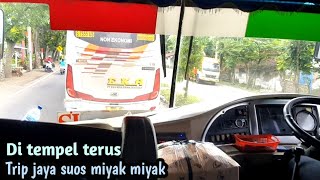 mencoba bis ponorogoan! Trip jaya suos miyak miyak