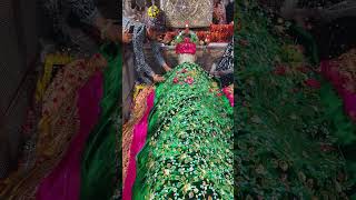 Mira datar dargah Urs stetus|whatsapp qawwali status|2024new qawwali|Famous qawwali|mira data