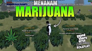 MENANAM GANJA/MARIJUANA BARENG ANAK REDOX DI KOTA MALKOVA | GTA SAMP INDONESIA