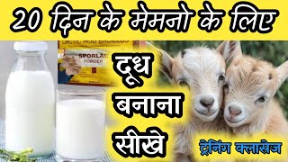 Bakri Ke Bacche Ke Liye Dudh Banana Sikhe |Memno Ko Kaisa Dudh Pilaye|Vimalumrao