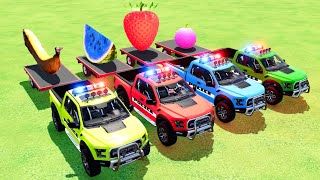 LOAD AND TRANSPORT WHITE CANTAPUTE, BANANA, STRAWBERRY and WATERMELON WITH FORD POLICE CAR   FS 22!