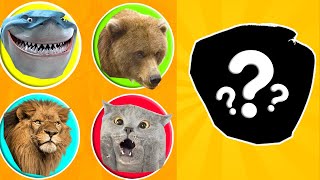 CUTE ANIMALS: Shark, Bear, Horse, Lion,  Hamster 기니 돼지,흰 족제비,토끼,고양이,개,햄스터 #1