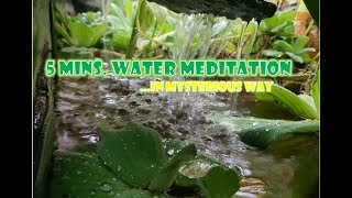 5mins Water Meditation #2 / Mystery (VLOG#55) #watermeditation#longlive#vlog