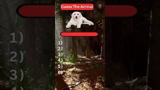 Guess the Animal by Picture Part 5🙈 #shorts #animals #quiz #animalquiz #animaltrivia