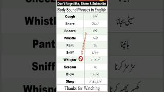 Body Sound Phrases in English with Urdu Translation | Body Sounds #english #shorts