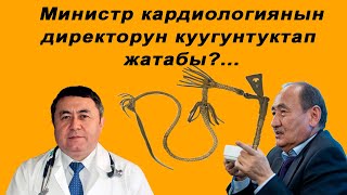 Министр кардиологиянын директорун куугунтуктап жатабы?...