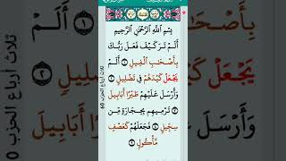 Surah Al-feel #quran #quranrecitation #qurantilawat #shorts #surah