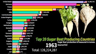 Top 20 Sugar Beet Producing Countries || Top 20 Sugar Beet Production Countries ||