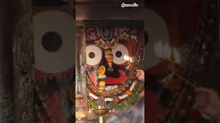 Jay Jagannath ⭕❗⭕🙏🏻#jagannath #bhajan #song #puri #odiabhajan