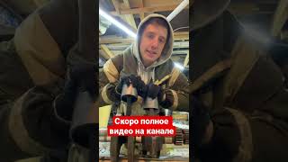 Больше видео на канале #short #shorts