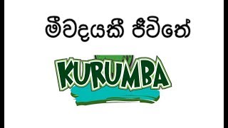 Mivadayaki Jivithe - මීවදයකී ජීවිතේ - Kurumba