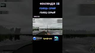 Fisher Online - Фінляндія Голець Сірий (Голец Серый) троф