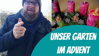 Gartenrundgang Dezember - Hühner - Was ist Neu - Was wächst noch...