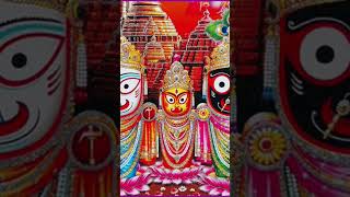 Jay Jagannath