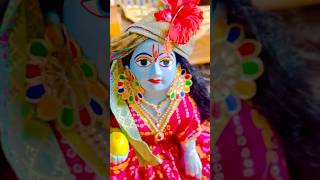 श्री बाँकेबिहारी लाल #song #meremadhavgopal #youtubeshorts #love #laddugopal