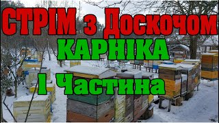 Карніка. Все про породу. Стрім з Доскоч Іваном Михайловичем