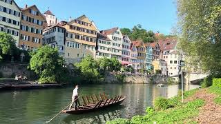 Tubingen in Summer //1 May 2024// A sunny day