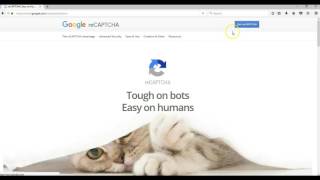 configuring google recaptcha v2 in wysiwyg web builder