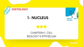 Nucleus | CHAPTER#1- CELL BIOLOGY & EPITHELIUM