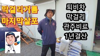 관비재배1년결산 막걸리거름 마지막주는날 퇴비차 막걸리 점적관수 #청년농부 #레드향 #만감류 #홈런농장 @homerun_farm